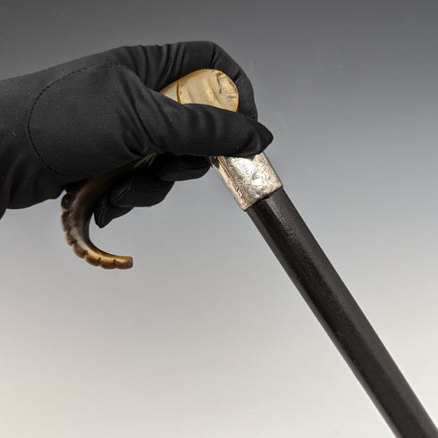 1896 British Antique Men's Cane Horn Elephant Handle 86cm